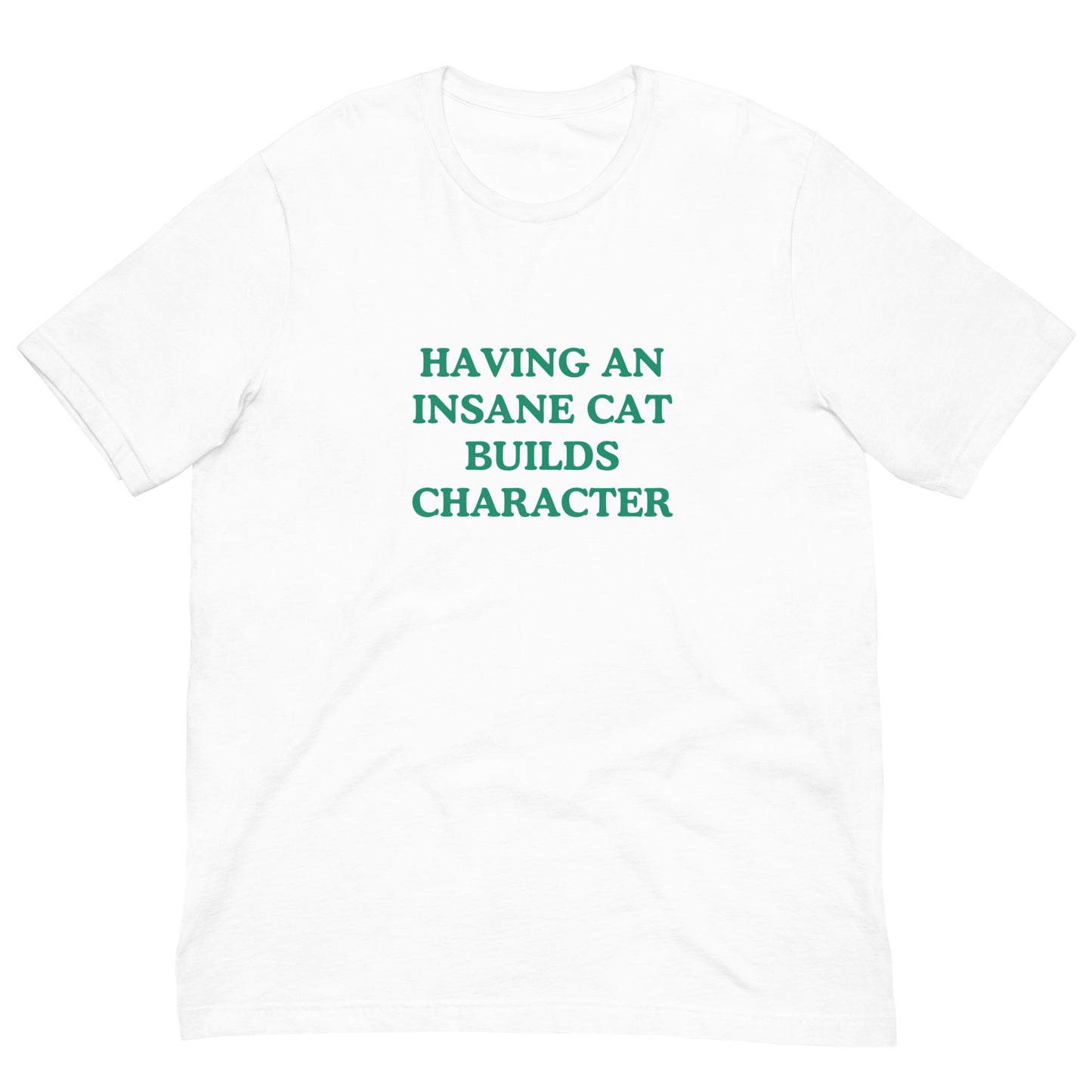 Having An Insane Cat Builds Character T-Shirt